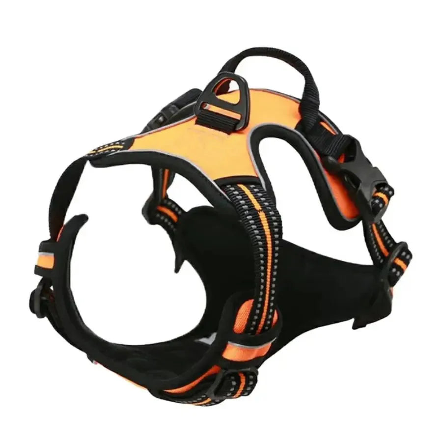 Leather Dog Collar & Harness Set with Leash – Adjustable Vest for Small & Medium Dogs
